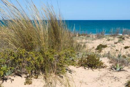 Casa Felipa, Una Estancia Unica En La Costa Blanca Гуардамар дел Сегура Екстериор снимка